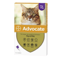 Advocate for Cats