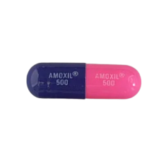 Amoxil