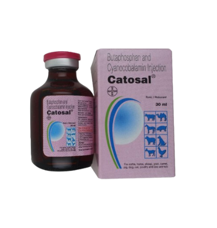 Catosal Injection