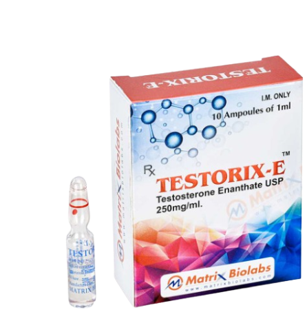 Testorix-E