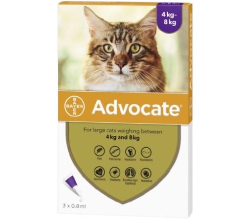 Advocate for Cats