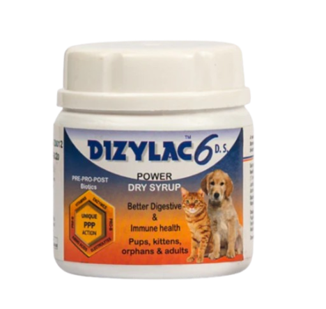 Dizylac Dry Syrup
