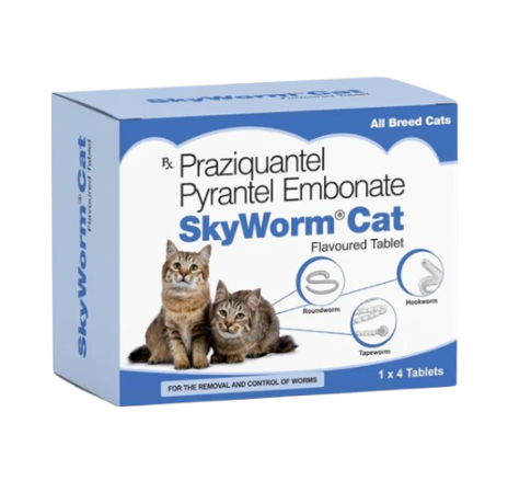 Skyworm Cat