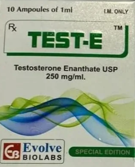 TEST-E